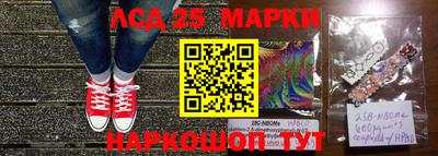 индика Гагарин