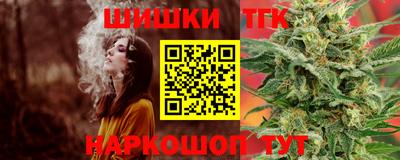 индика Гагарин