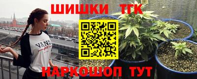 соль курить ск Гай