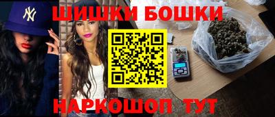 индика Гагарин