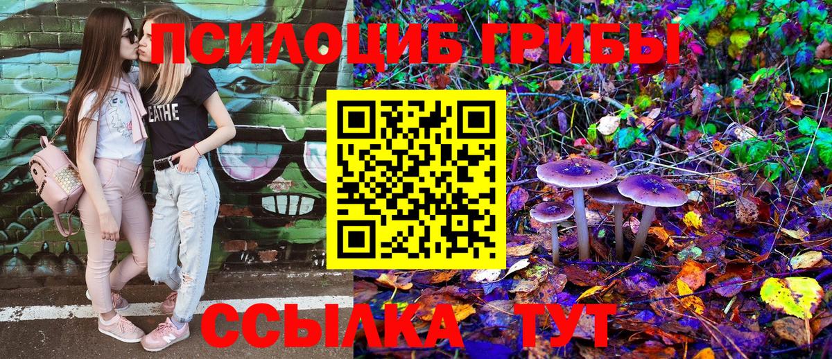 Псилоцибиновые грибы Psilocybine cubensis  Псилоцибиновые грибы MAGIC MUSHROOMS  Вход с VPN  Москва 